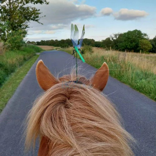 Flugvakt™  – Your Horse’s Guardian Against Horseflies, Mosquitoes and Flies.